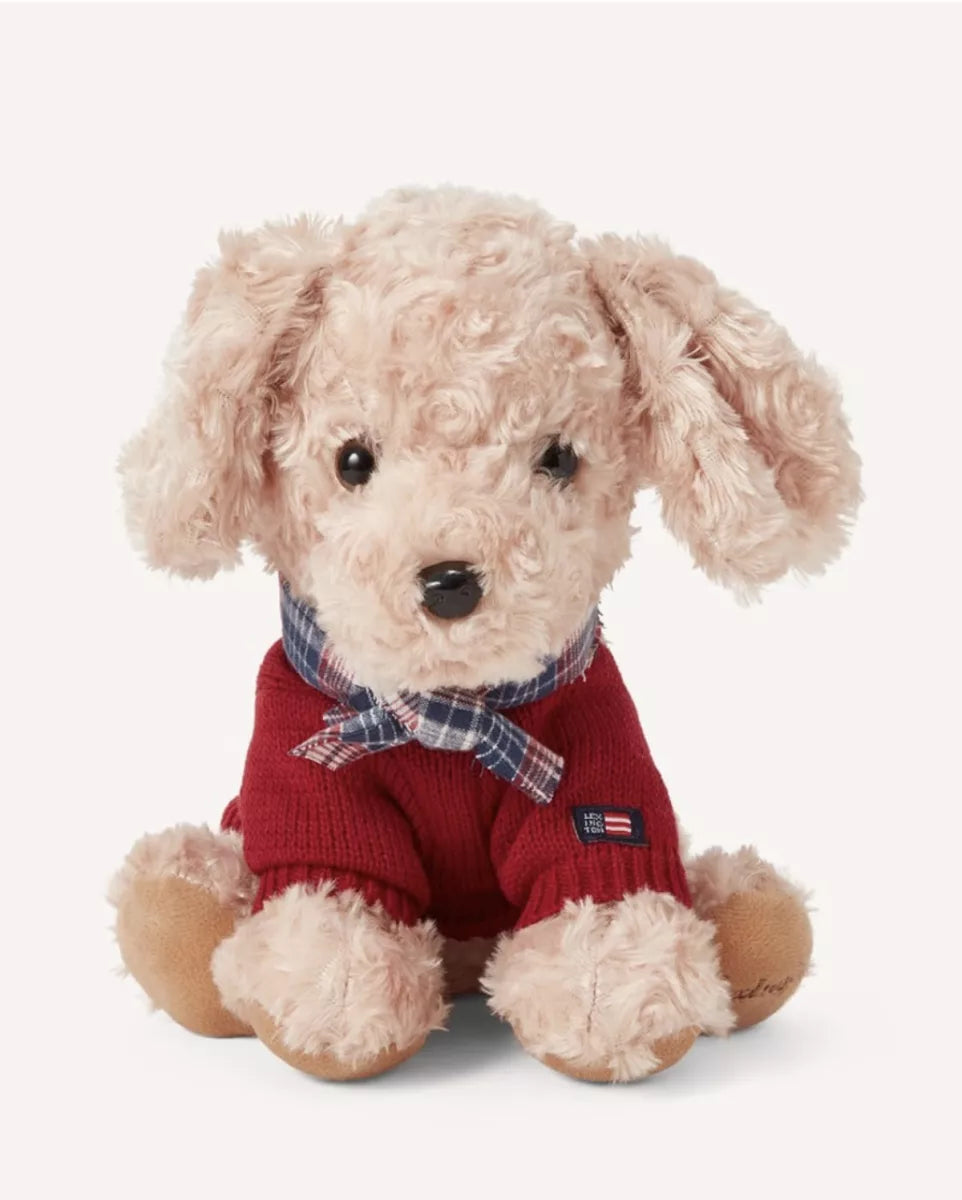 Lexington Teddy dog