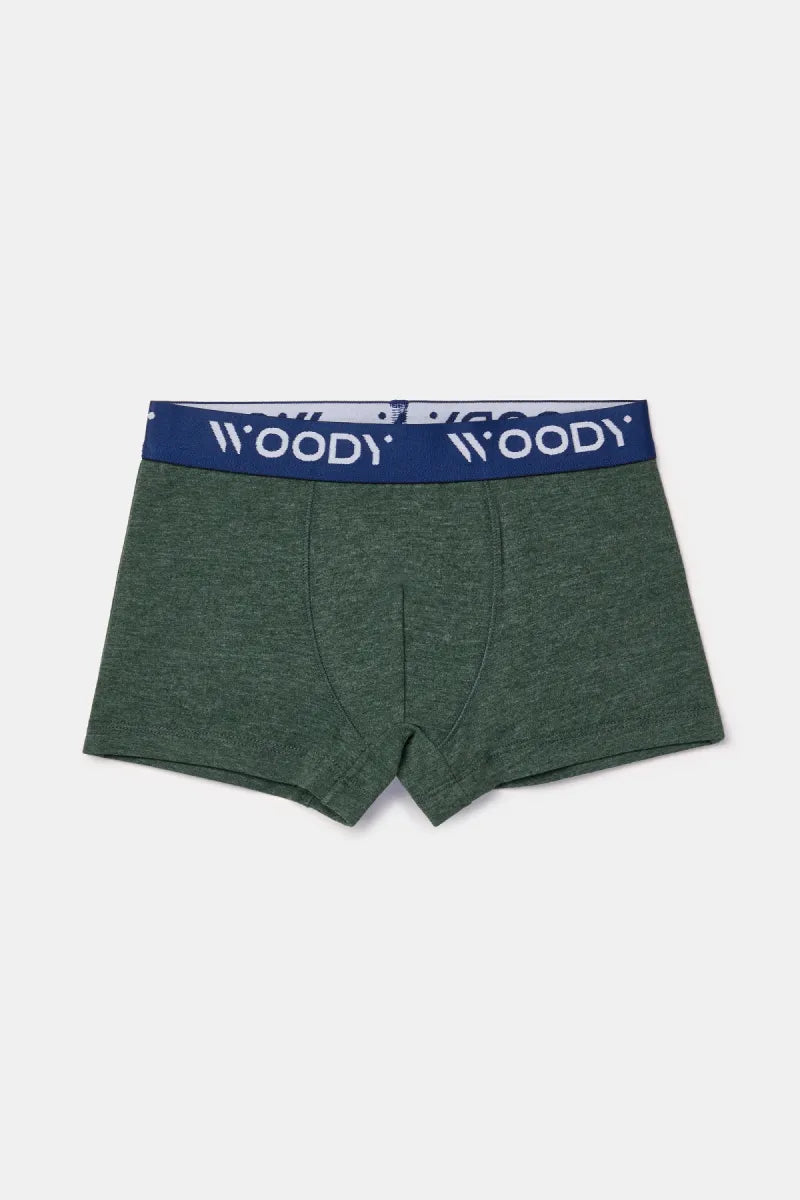 Woody Boxers - Groen/Monsters