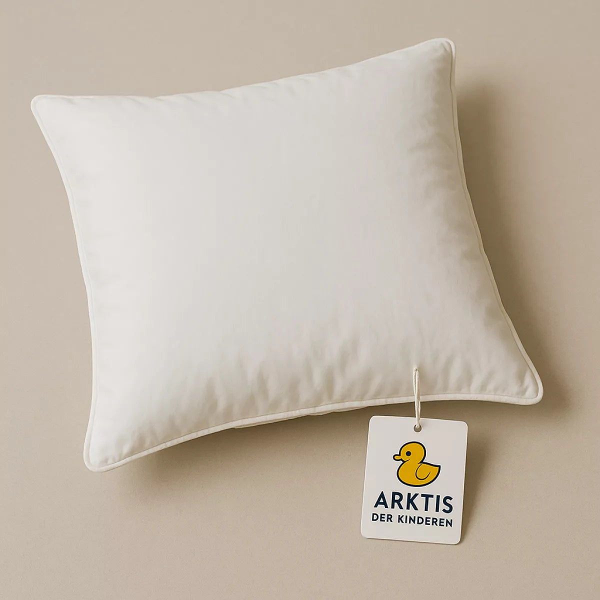 Hanskruchen Hoofdkussen Arktis