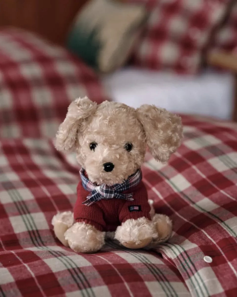 Lexington Teddy dog