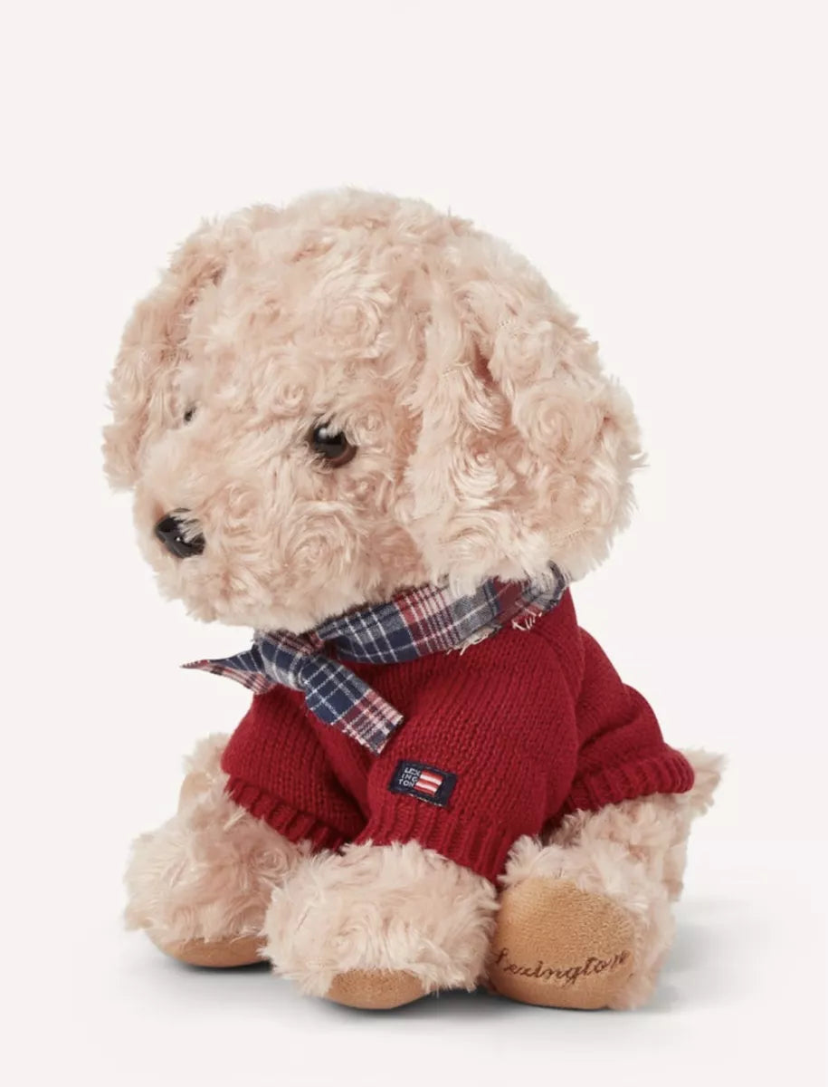 Lexington Teddy dog